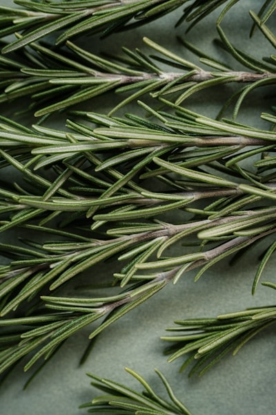 Rosemary